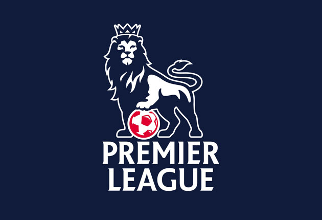 瑞士羽球公 瑞士羽球公